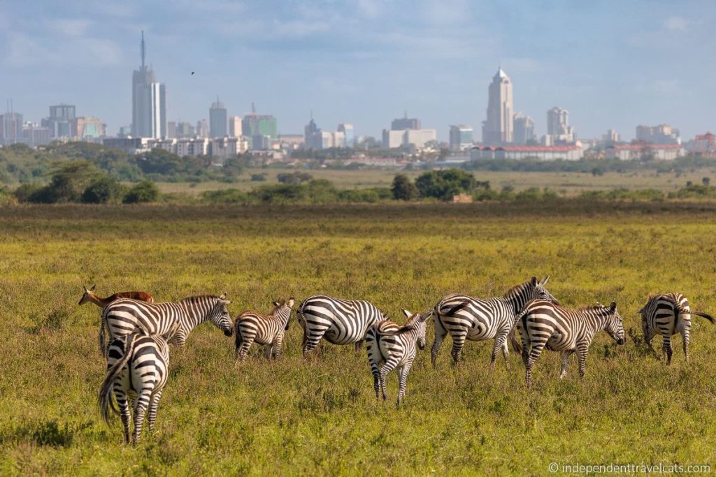 Gretchen tours Nairobi national park