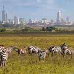 Gretchen tours Nairobi national park