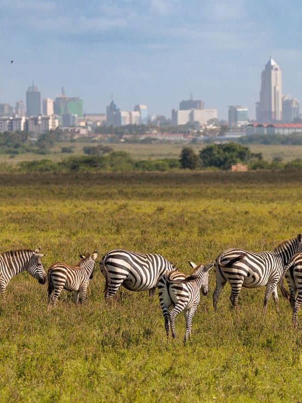 Gretchen tours Nairobi national park