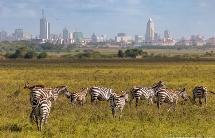 Gretchen tours Nairobi national park