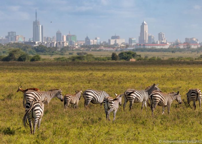 Gretchen tours Nairobi national park